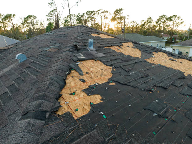 Best Roof Maintenance and Cleaning  in Rheems, PA