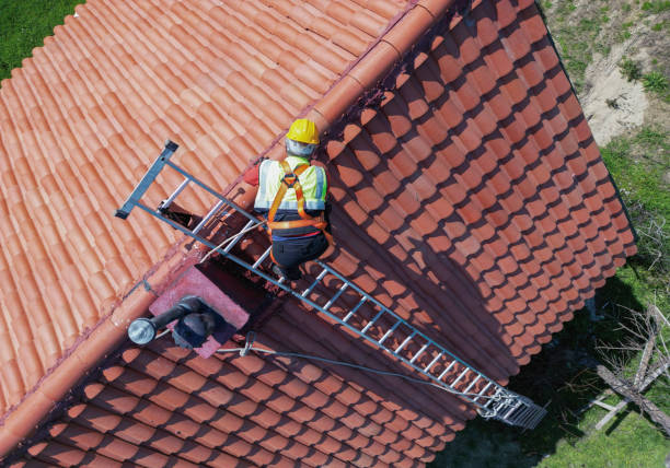 Best Skylight Installation and Repair  in Rheems, PA